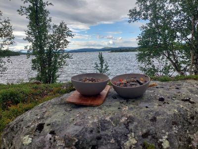 -Am-Ende-der-Seenstrecke-Abendessen-Pilzragout